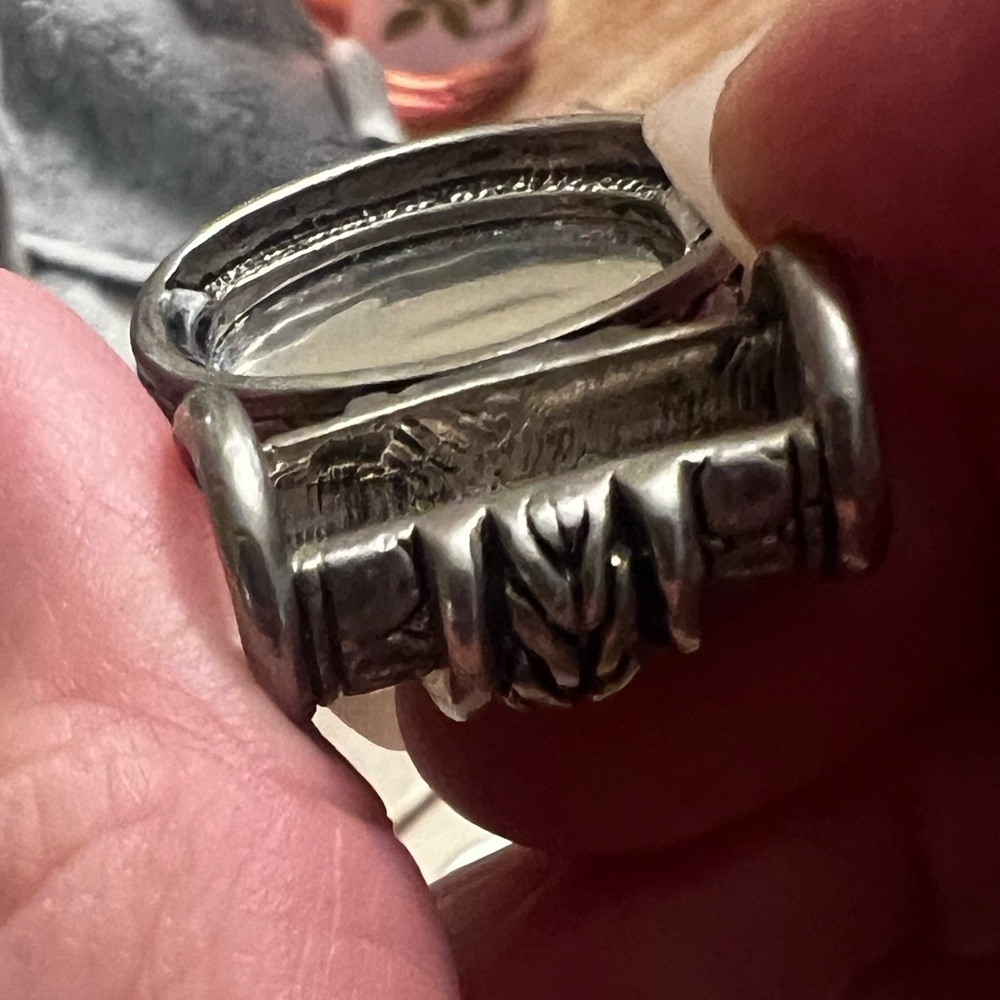 Classy, Timeless,Oozes Class & Style, Silver Turt… - image 5